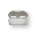 Bose QuietComfort Earbuds